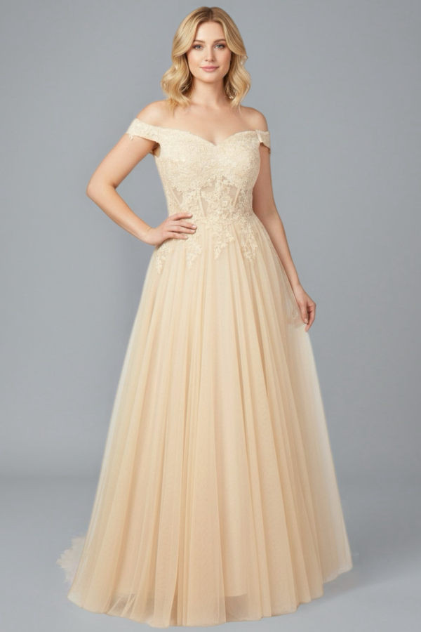 Sweetheart Lace and Tulle Gown