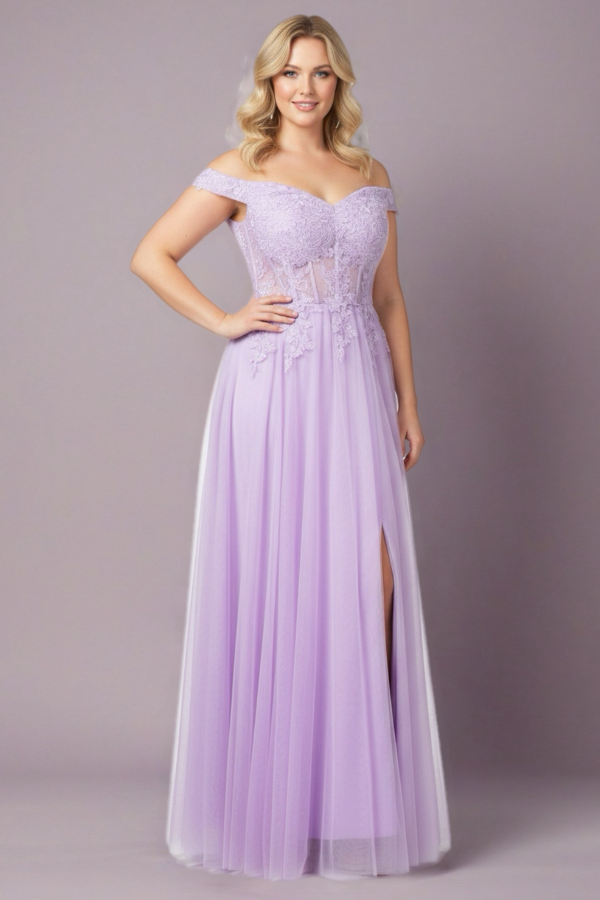 Sweetheart Tulle and Lace Gown